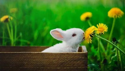 ky体育娱乐-贝林厄姆加盟皇马，表现抢眼，贝林厄姆技术